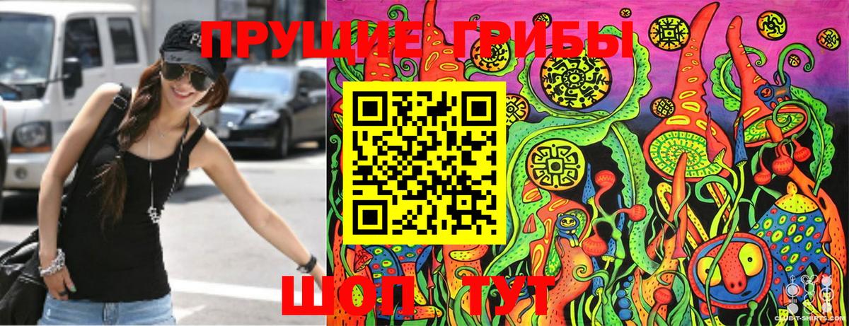 Александров  Псилоцибиновые грибы Psilocybe  Вход с VPN 